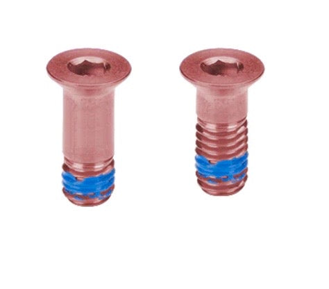 Titanium Sram Eagle Pulley Bolts